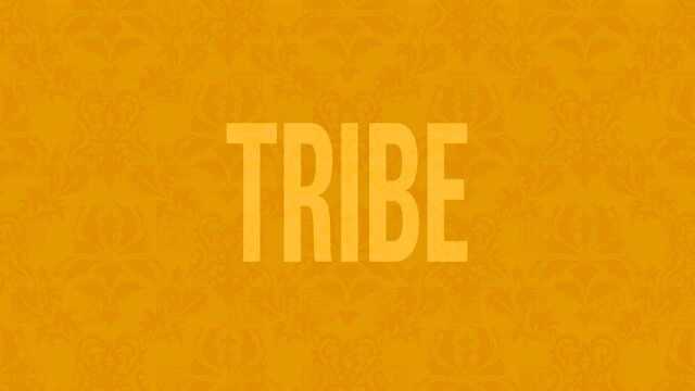 Tribe (Audio)