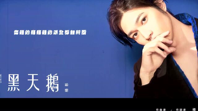 杨影  黑天鹅(官方歌词版)