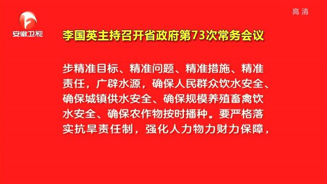 李国英主持召开省政府第73次常务会议