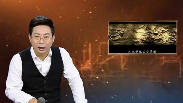 两亿年前的肯氏兽竟是深陷沼泽而死?