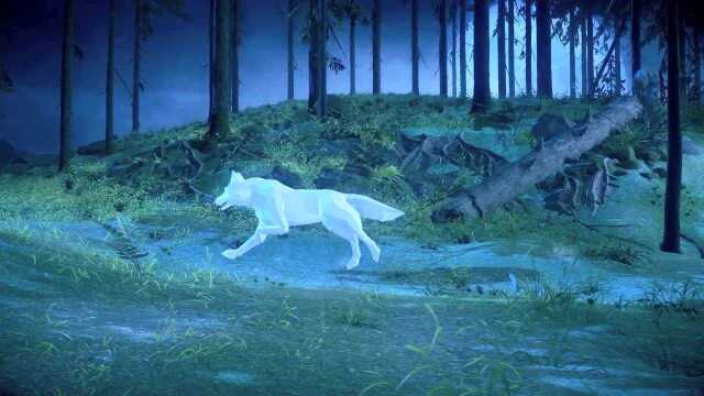 Lonely Wolf