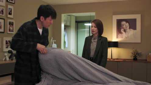 完美伴侣[DVD版] 33集