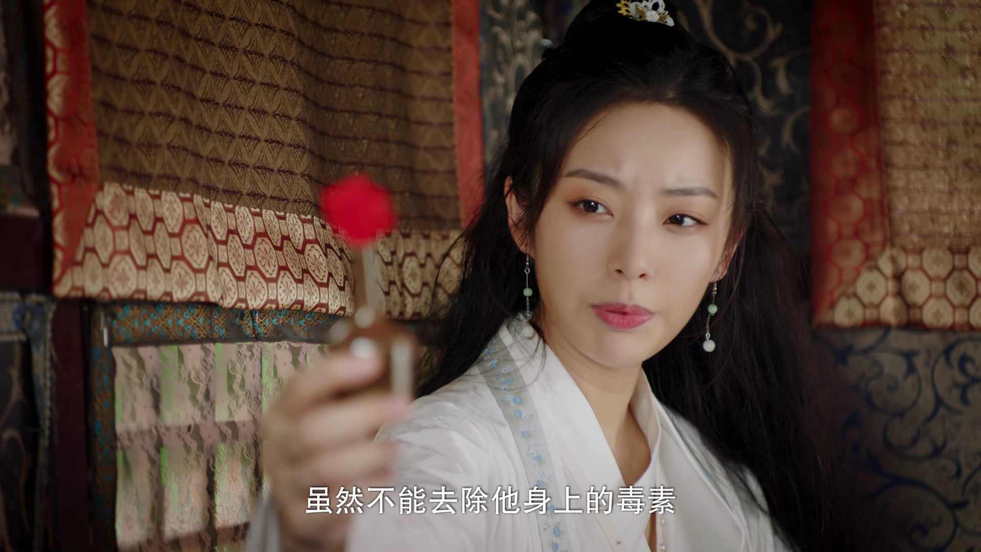 花颜御貌 12集
