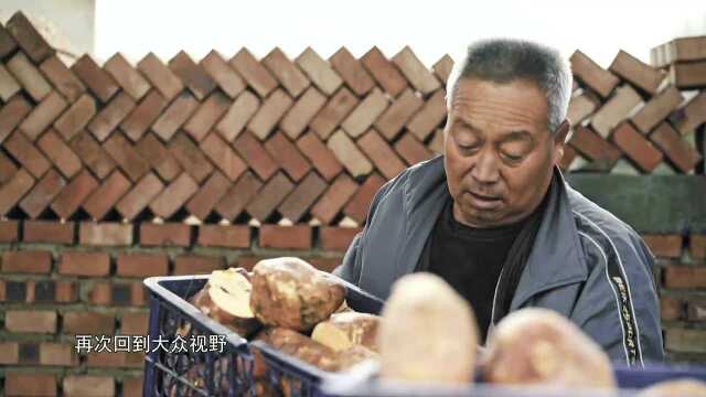 “失传多年”的红薯黑芡抿尖制作工艺大公开