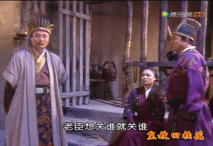 皇嫂田桂花2 11集