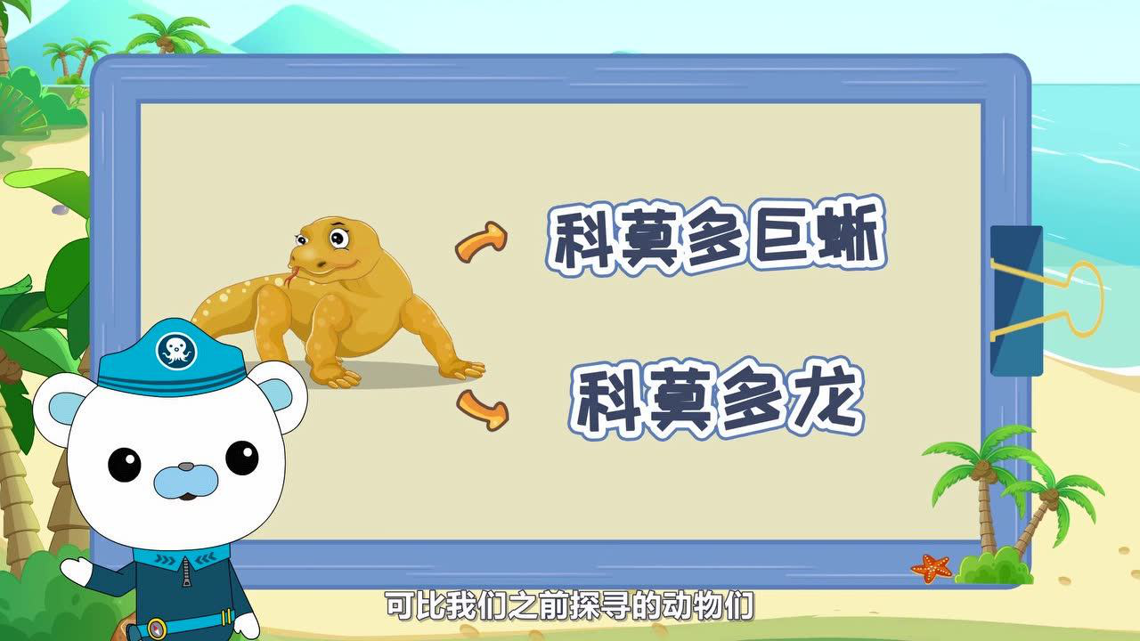 小纵队探索冰河世纪 12集