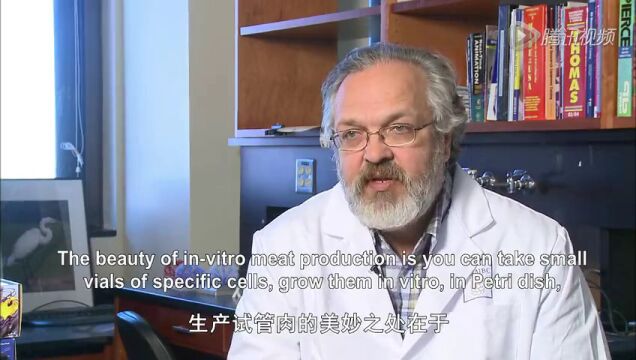 超级科技:试管汉堡包一个造价34万美元高光片段