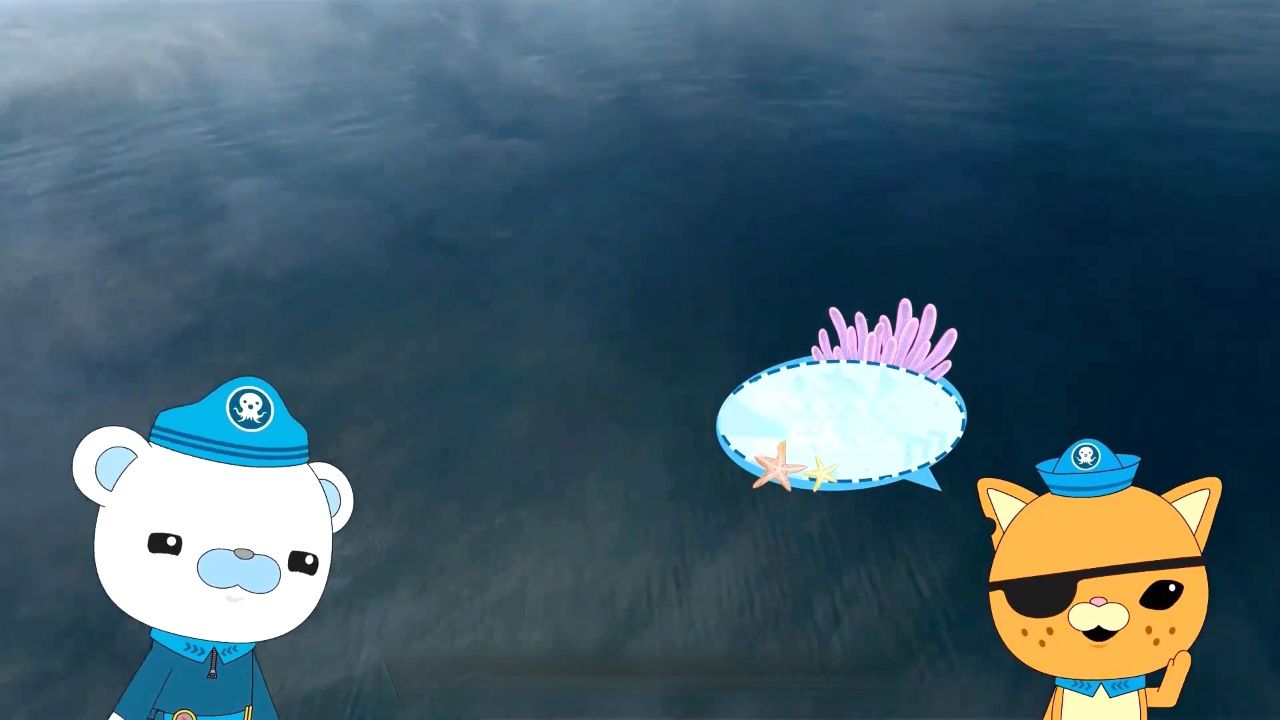 第10集 双雄之战—抹香鲸vs大王酸浆乌贼