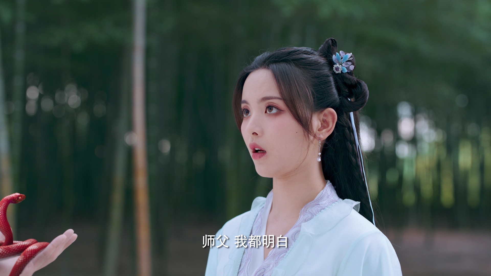 重紫 13集