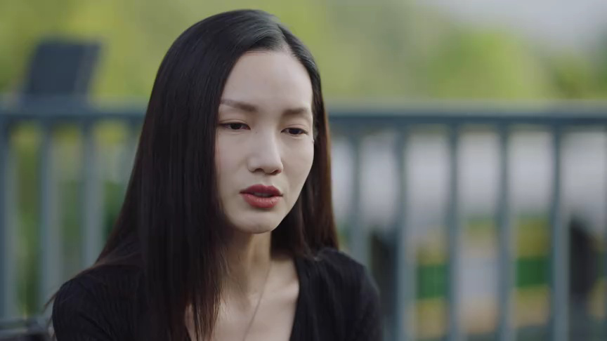 她背后的那双手 17集