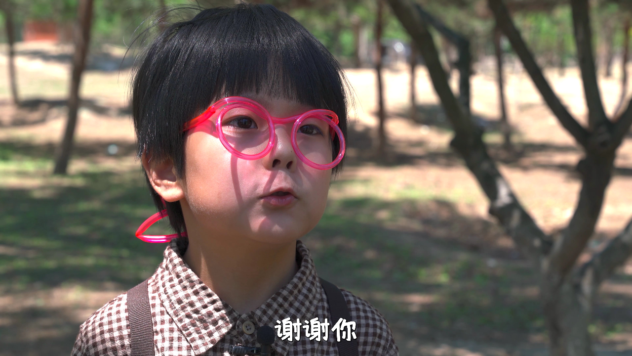 大侦探小Q 9集