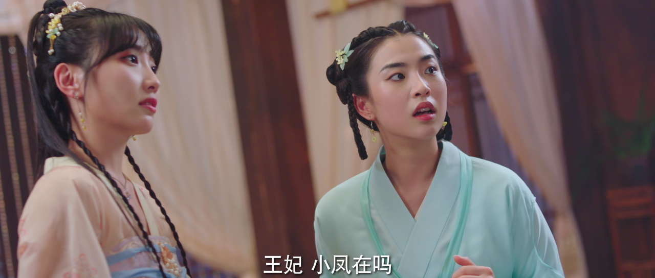 我的医妃不好惹2 20集