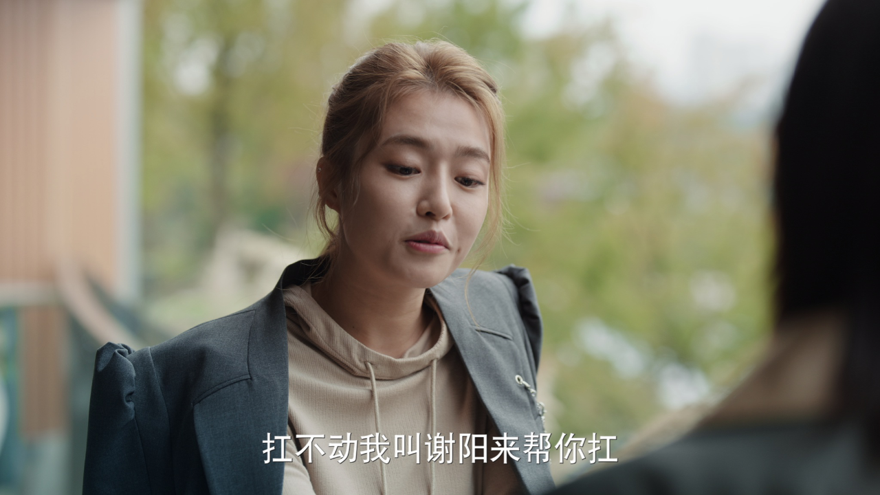 故乡，别来无恙 20集