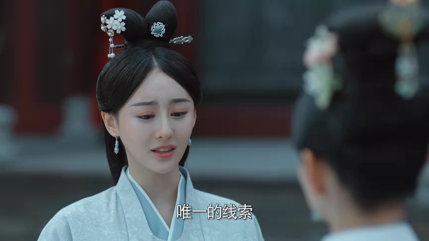 岁岁青莲 23集
