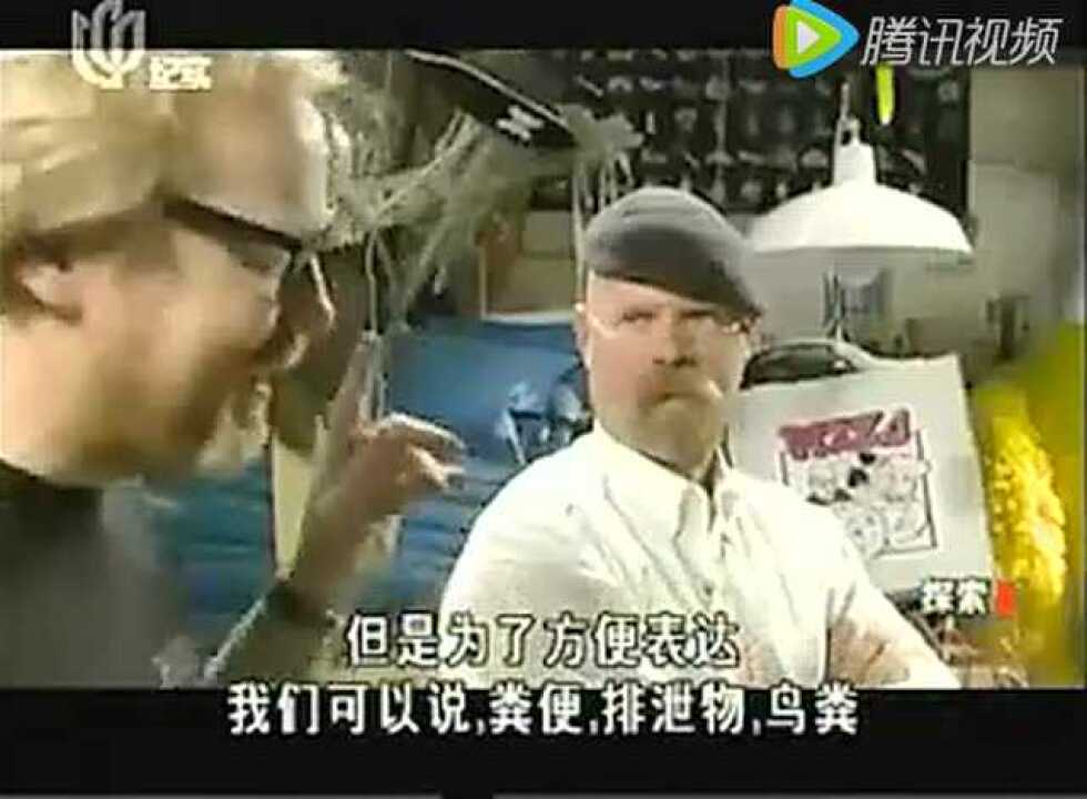 流言终结者【国语】_高清