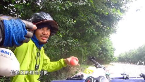 行疆9：太京是条狗丨单人单车骑行中国
