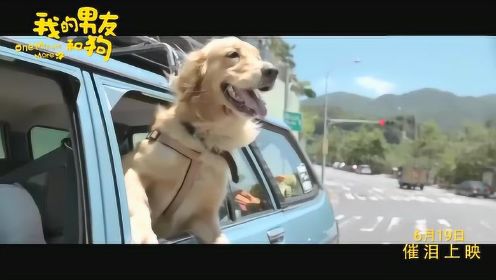 电影《我的男友和狗》终极版预告片