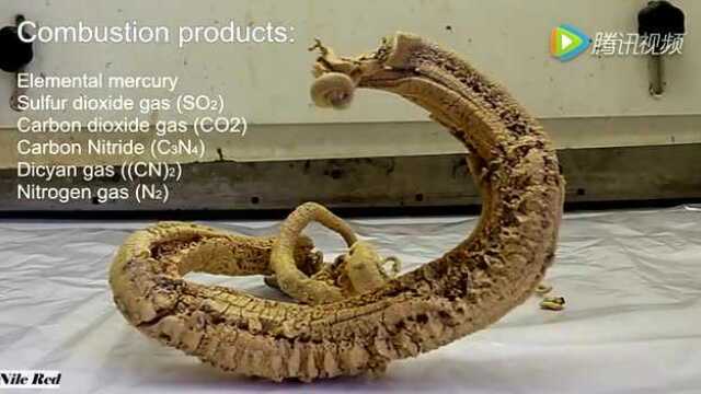 古老巫术法老之蛇终于被破解大家千万别倒着看