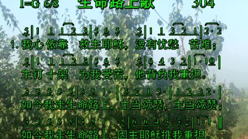 304生命路上歌
