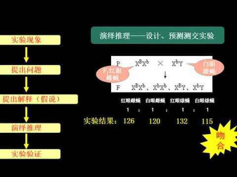 腾讯视频-中国领先的在线视频媒体平台,海量高清视频在线观看