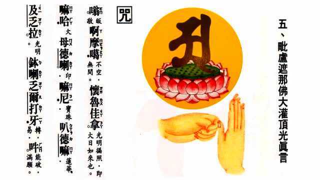 41 毗卢遮那佛大灌顶光真言_腾讯视频