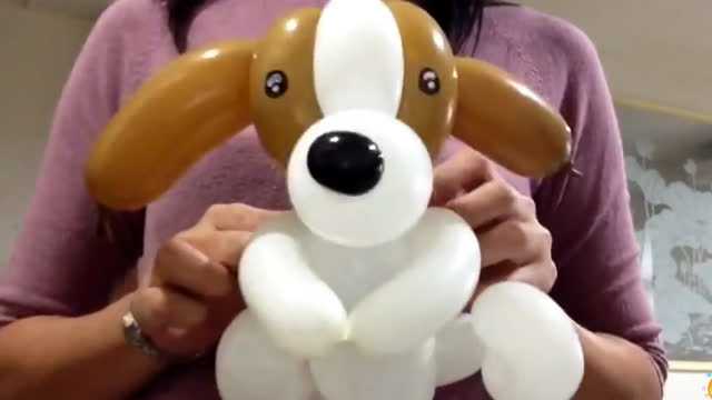 小狗气球_“趴趴狗”长条魔术气球造型教程