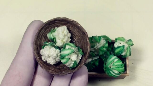 diy创意手工粘土软陶制作微型花菜