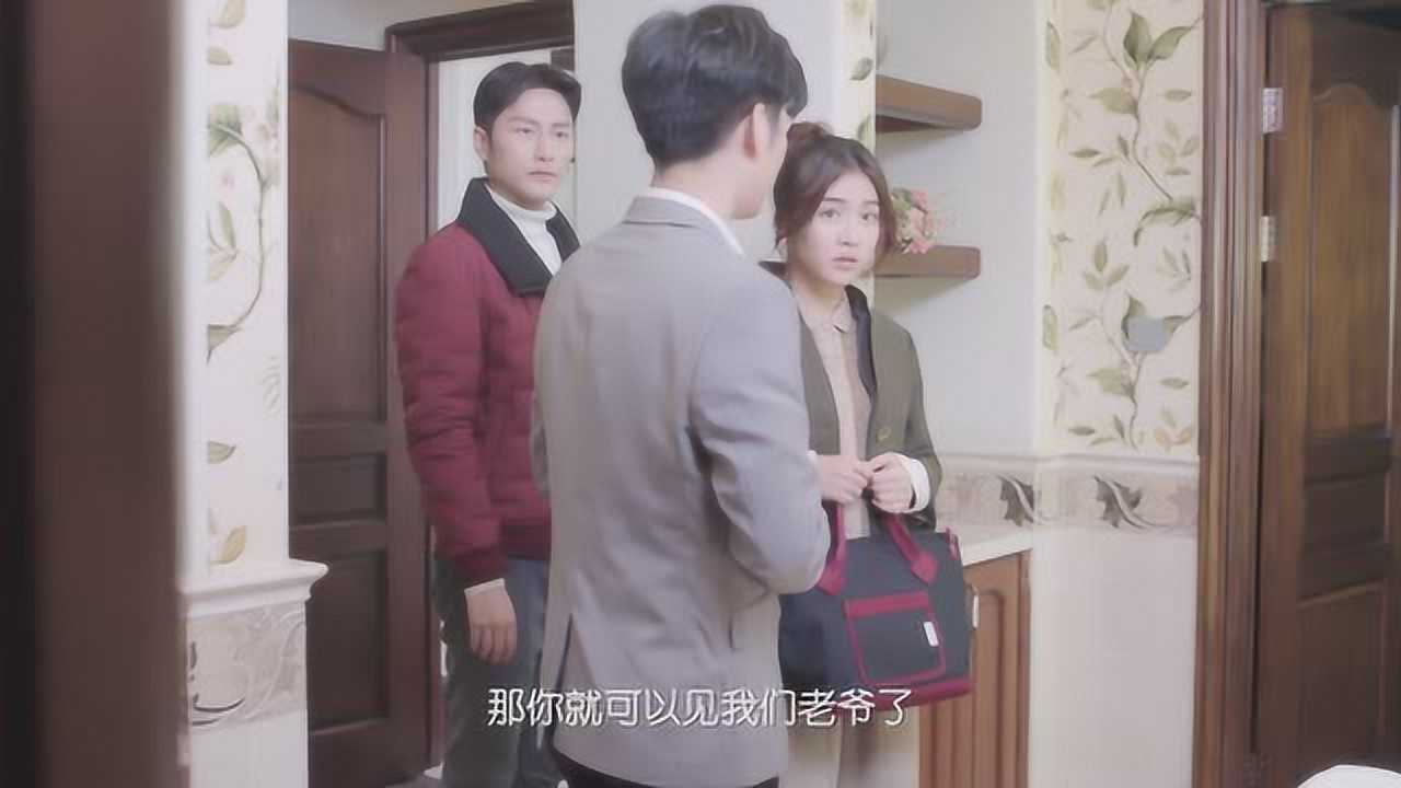我的真芯男友 18集