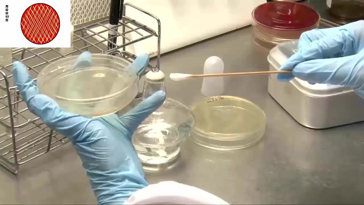 药敏试验—药敏纸片扩散法_高清