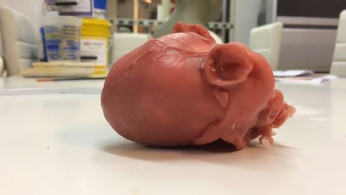 世界首个3D打印心脏，可跳动3000次，持续45分钟