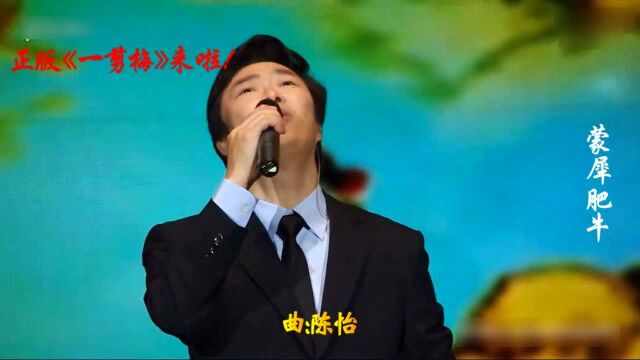 凤飞飞和费玉清pk一剪梅太经典了你喜欢谁