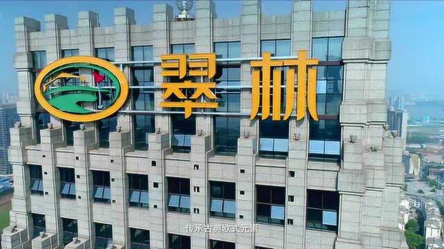 翠林国际大厦图片