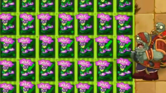 植物大战僵尸2:5阶全图喇叭花声波震撼全场,瞬秒终极boss