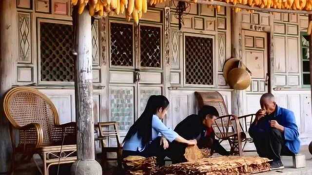 滇西小哥搞事情一个纯粹的云南妹子励志要逆袭李子柒