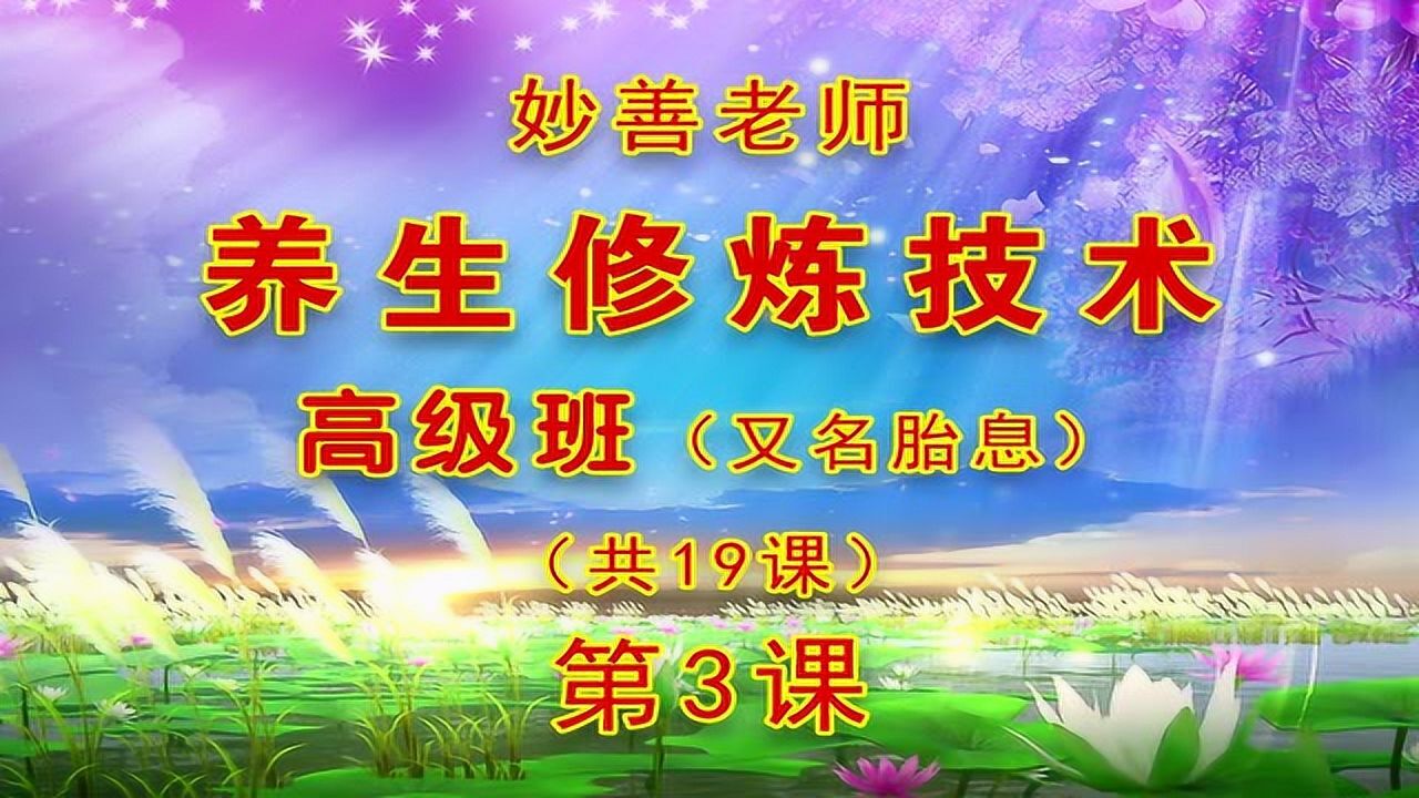 养生修炼技术高级班又名胎息03妙善老师讲