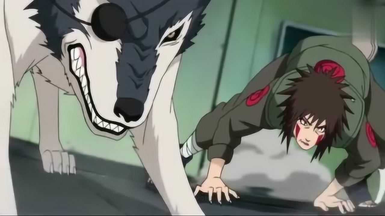 火影:犬冢一族对付饿鬼道佩恩_腾讯视频