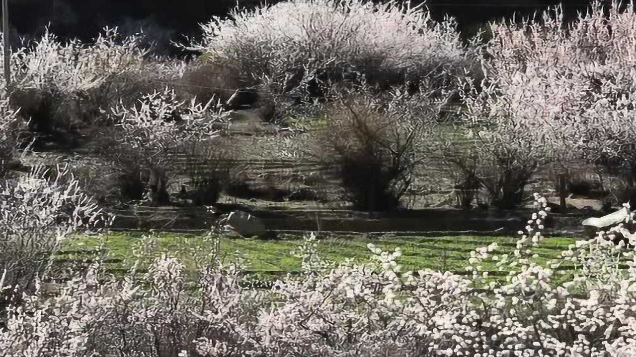 八宿县林卡乡图片