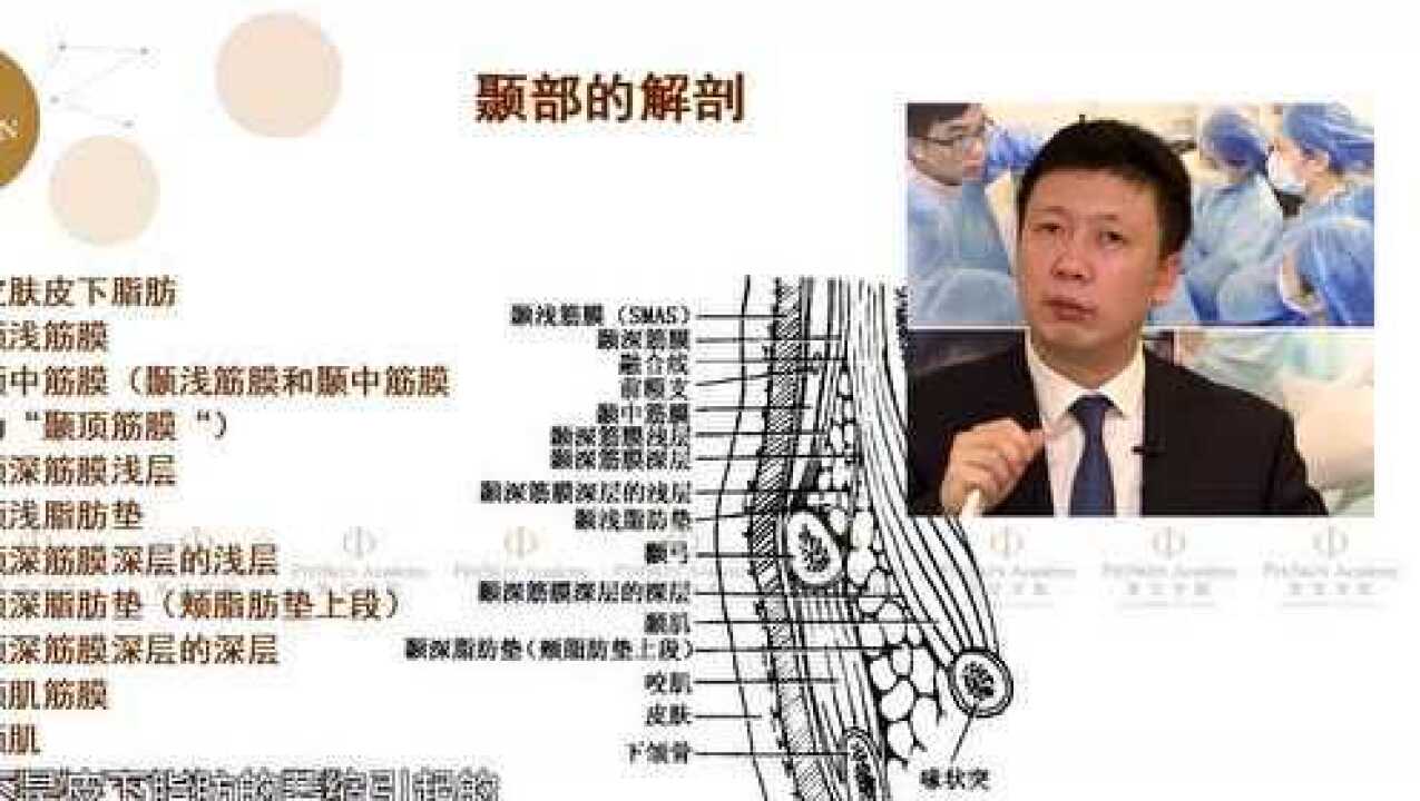 韩雪峰颞部的解剖_高清1080P在线观看平台_腾讯视频