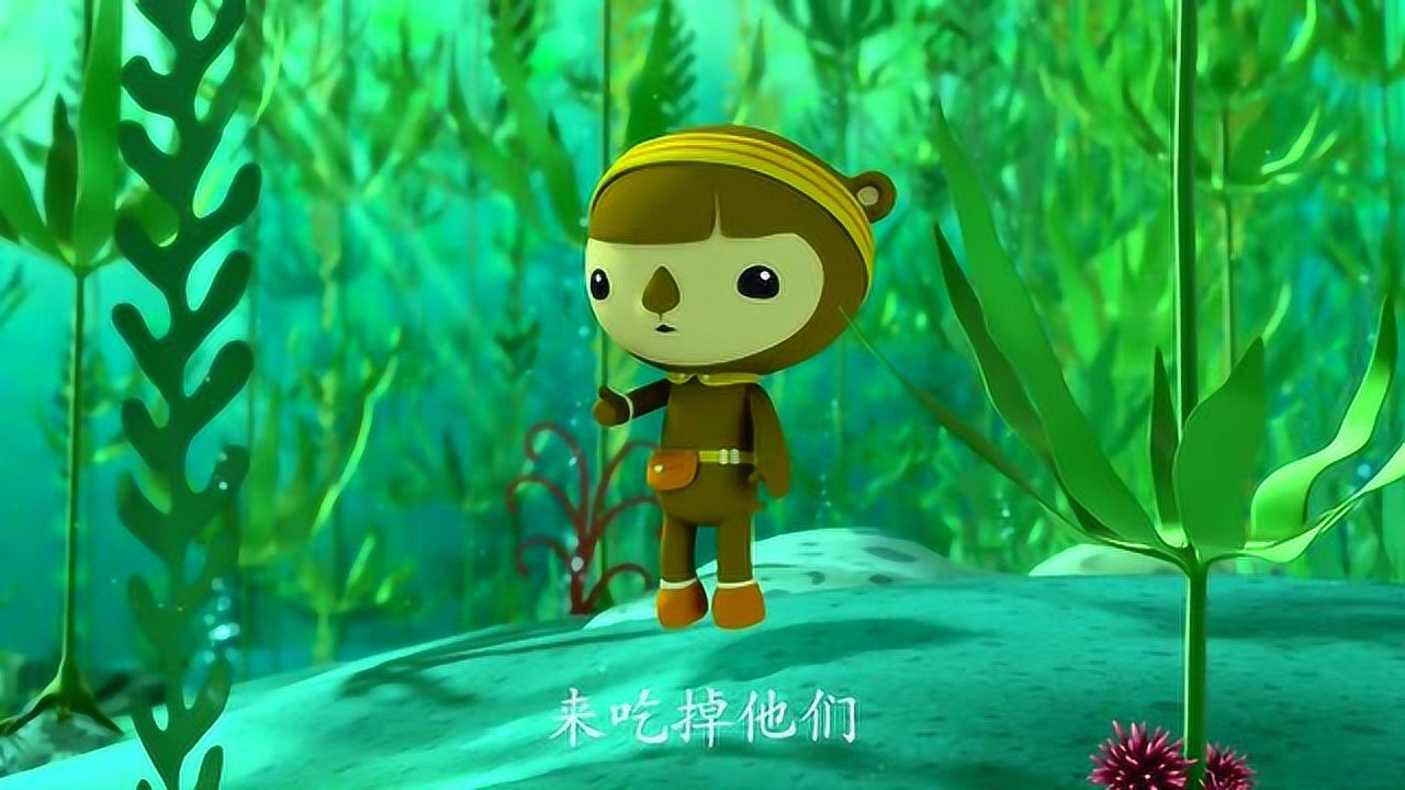海底小纵队:谢灵通的姐姐珍珠,是一只海獭科学家
