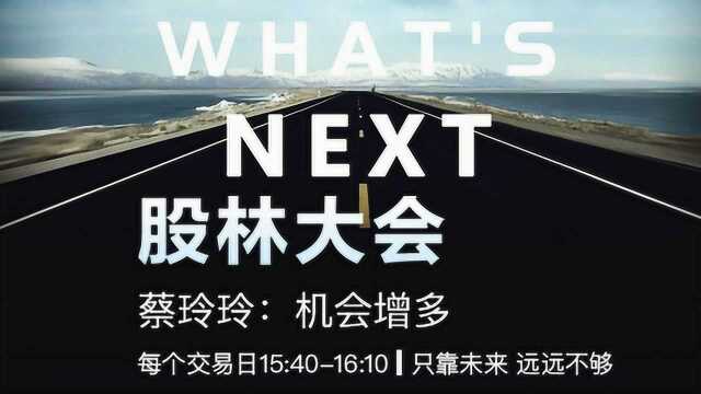 蔡玲玲:机会增多 关注5G和军工