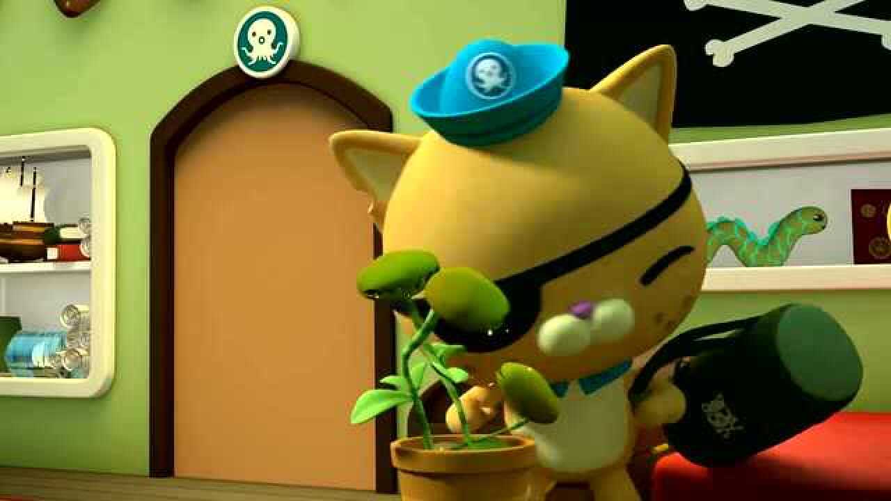 海底小纵队:呱唧带着行李去椰子蟹岛度假