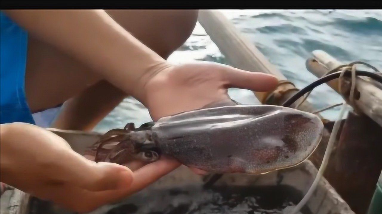 在海邊剛釣到的魷魚,結果被噴一臉墨汁,氣的當場生吃