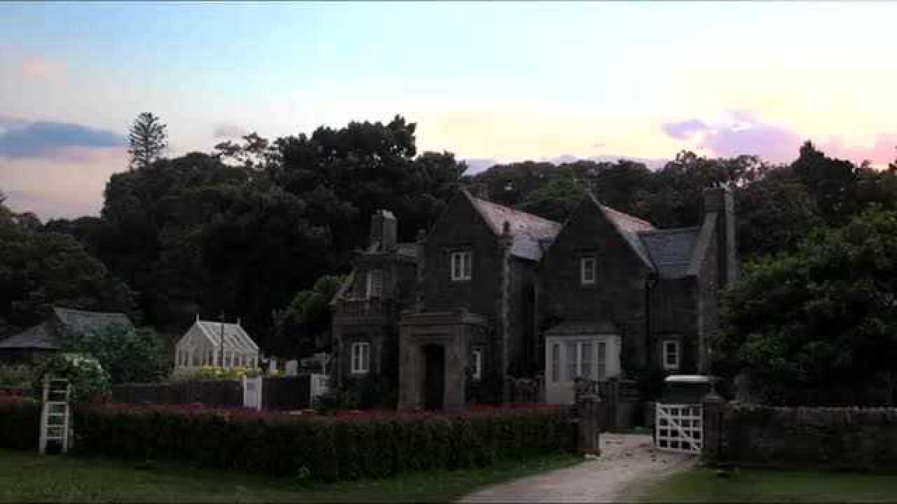 比得兔被动物住过的别墅让帅小伙打扫一整天都打扫不完