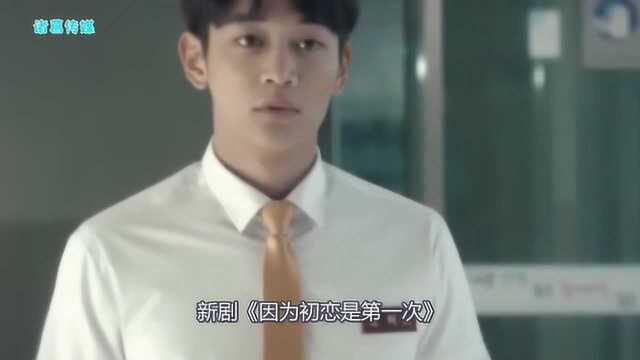 金志洙郑采妍振永主演韩剧《因为初恋是第一次》