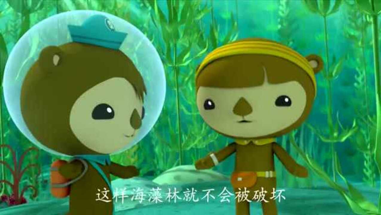 海底小纵队第三季海藻林的状况珍珠会找到原因吗