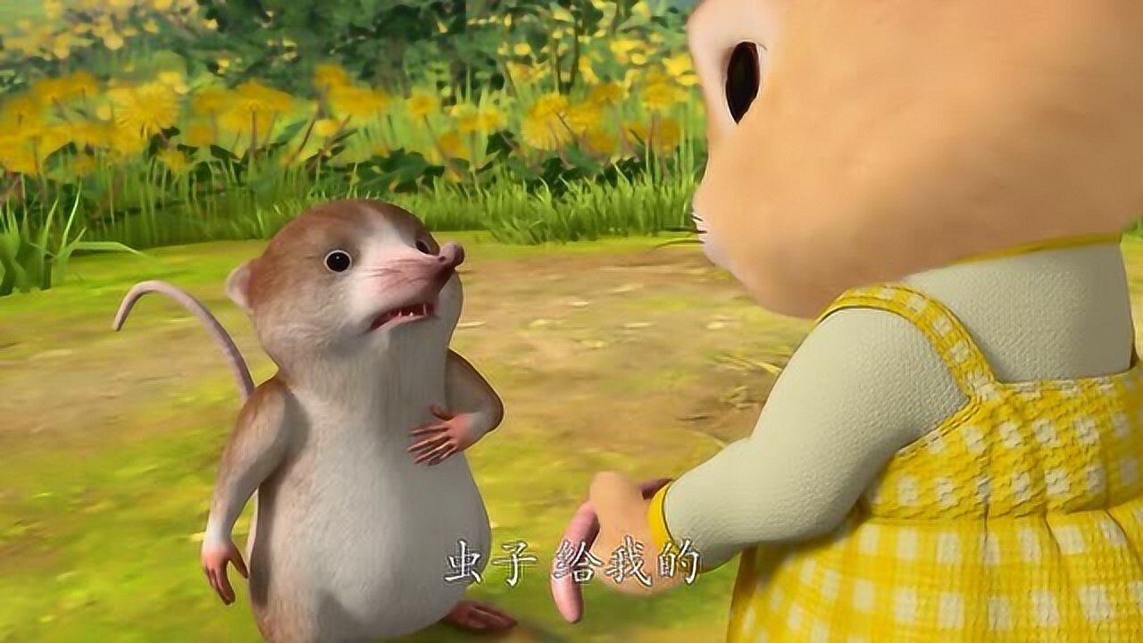 比得兔棉球尾太喜欢鼠仔了一定是把鼠仔当玩具了