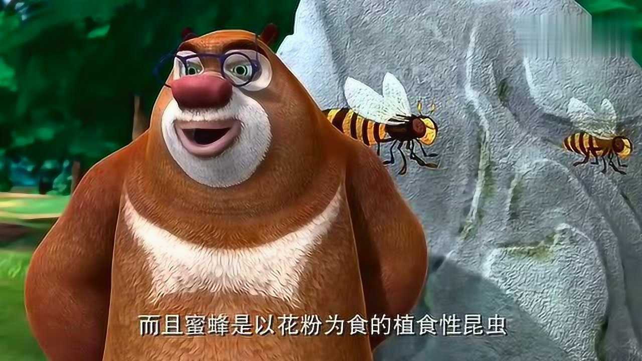 熊出没:熊大给动物们普及虎头蜂和蜜蜂的区别,太长见识了