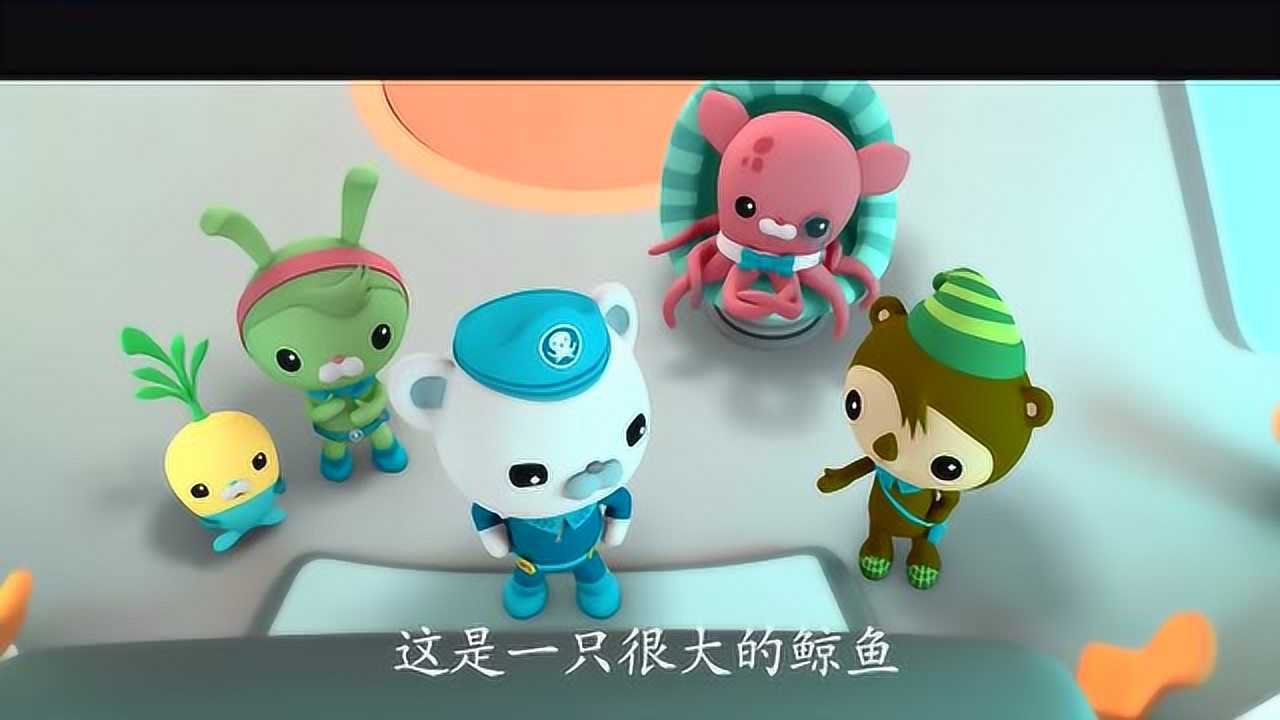 海底小纵队:幽灵鲸鱼