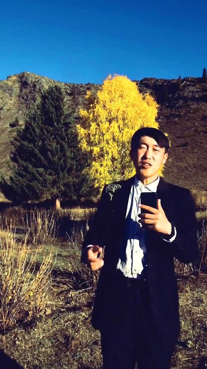 云游新疆网红夫妻树相伴是爱情最低调的奢华新疆可可托海景区