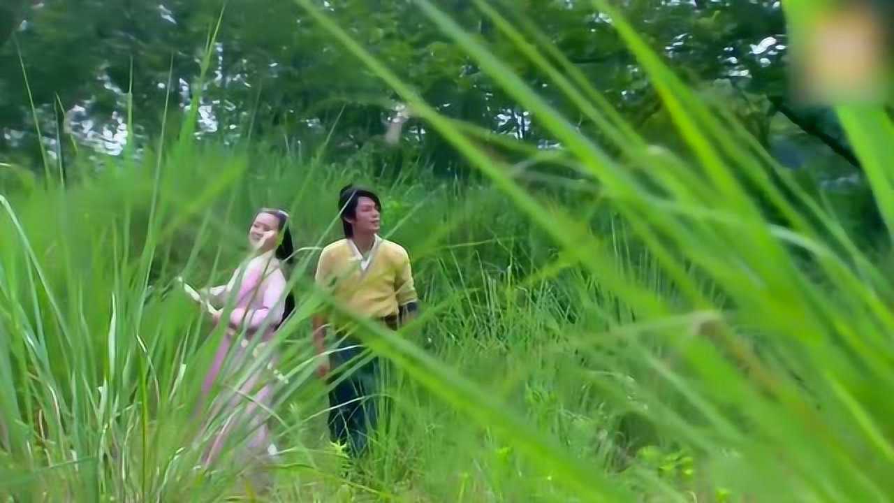 仪琳想把自己的一生交付给令狐冲